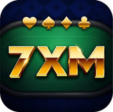 7XM logo