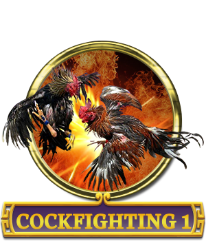 cock fighting 1