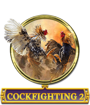 cock fighting 2
